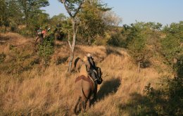 Our Elephant ride in Zimbabwe