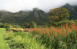 Kirstenbosch National Botanical Garden in Cape Town, South Africa