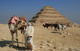 Local Arab and his camel at the Pyramid of Djoser, or step pyramid