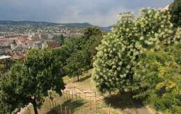 Looking into Buda from Castle Hill