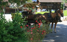 Horse drawn carriage ride in the Swiss countryside
