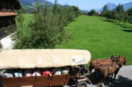 Horse drawn carriage ride in the Swiss countryside