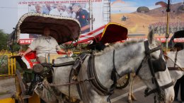 Horse-drawn tonga ride to the Taj Mahal