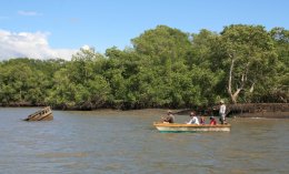 Fishermen in the mangroves of Costa Rica