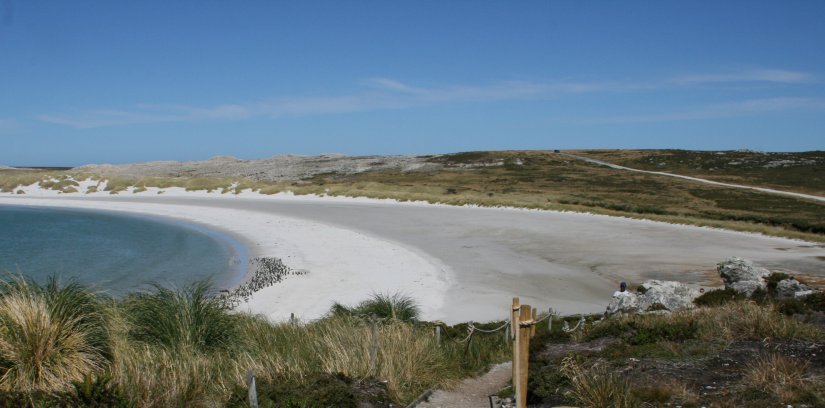Yorke Bay in the Falkland Islands
