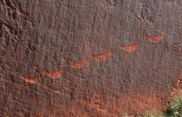 Ancient petroglyphs adorn the walls of the cliffs along the Colorado River