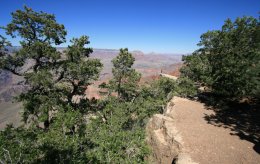 The Rim Walk on the South Rim of the Grand Canyon
