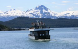 Auke Bay whale watching cruise