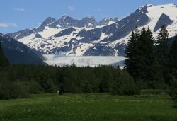 Mendenhall Glacier