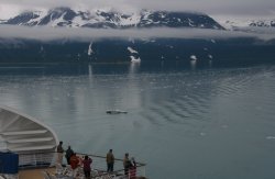 Glacier Bay