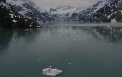 John Hopkins Inlet