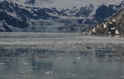 John Hopkins Inlet