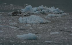 Margerie Glacier