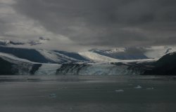 College Fjord