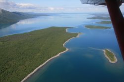 Flying over Lake Iliamna (the largest lake in Alaska)