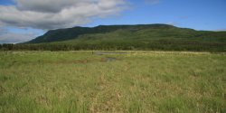 Katmai National Park