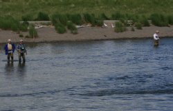 Fishermen in Brooks River