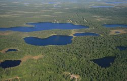 Kenai Peninsula