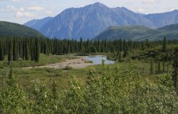 Scenic View off Park Highway