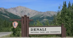 Denali National Park