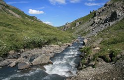 Savage River / Denali National Park