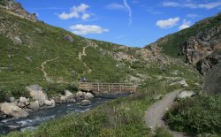 Savage River / Denali National Park