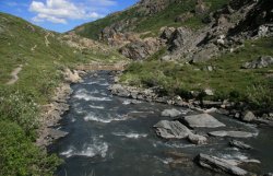 Savage River / Denali National Park