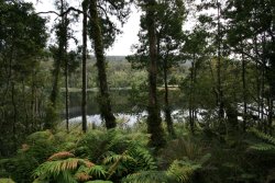 Lake Matheson