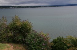 Lake Taupo, Largest lake in New Zealand