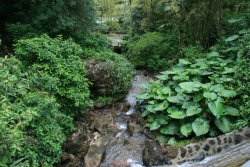 El Yunque Rainforest