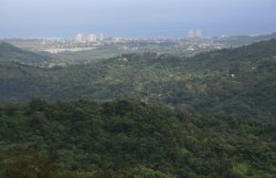 El Yunque Rainforest from top of Yokahu Tower