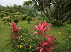 Grand Etang National Park & Forest Reserve