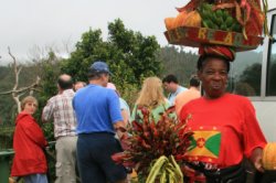 Local at Grand Etang National Park & Forest Reserve