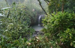 Annandale Falls