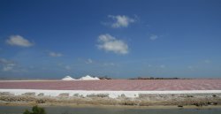 Salt Dunes