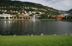 Lille Lungegardsvann Lake