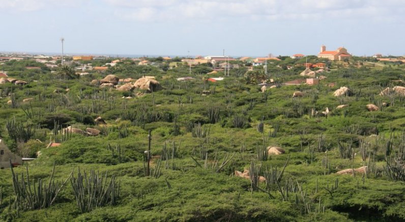 View of Aruba from the Casabari rock formation