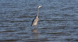 Indian River in Melbourne, Florida