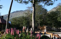 Rest stop in the Andes Mountains of southern Argentina