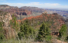 Vista Encantada along North Rim of the Grand Canyon