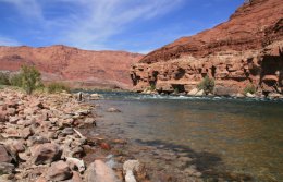 Paria Beach at Lee's Ferry in the Glen Canyon National Recreation Area