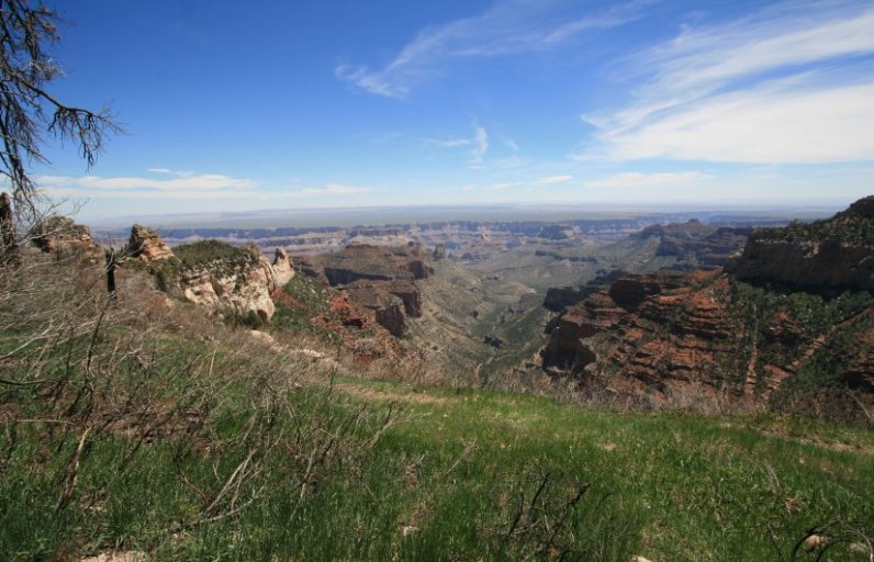 Roosevelt Point along North Rim of the Grand Canyon