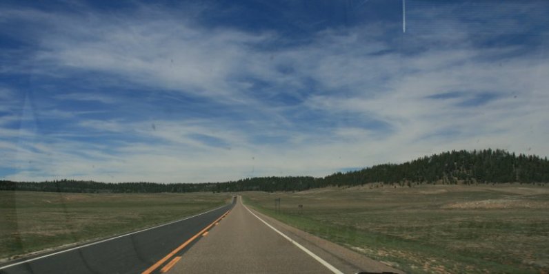 Kaibab Plateau along Arizona Highway 67 near North Rim of Grand Canyon